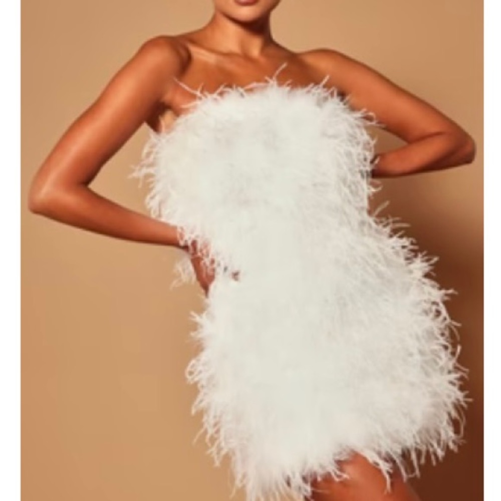 FASHIONNOVA- Hanna Feather Tube
Mini Dress - White